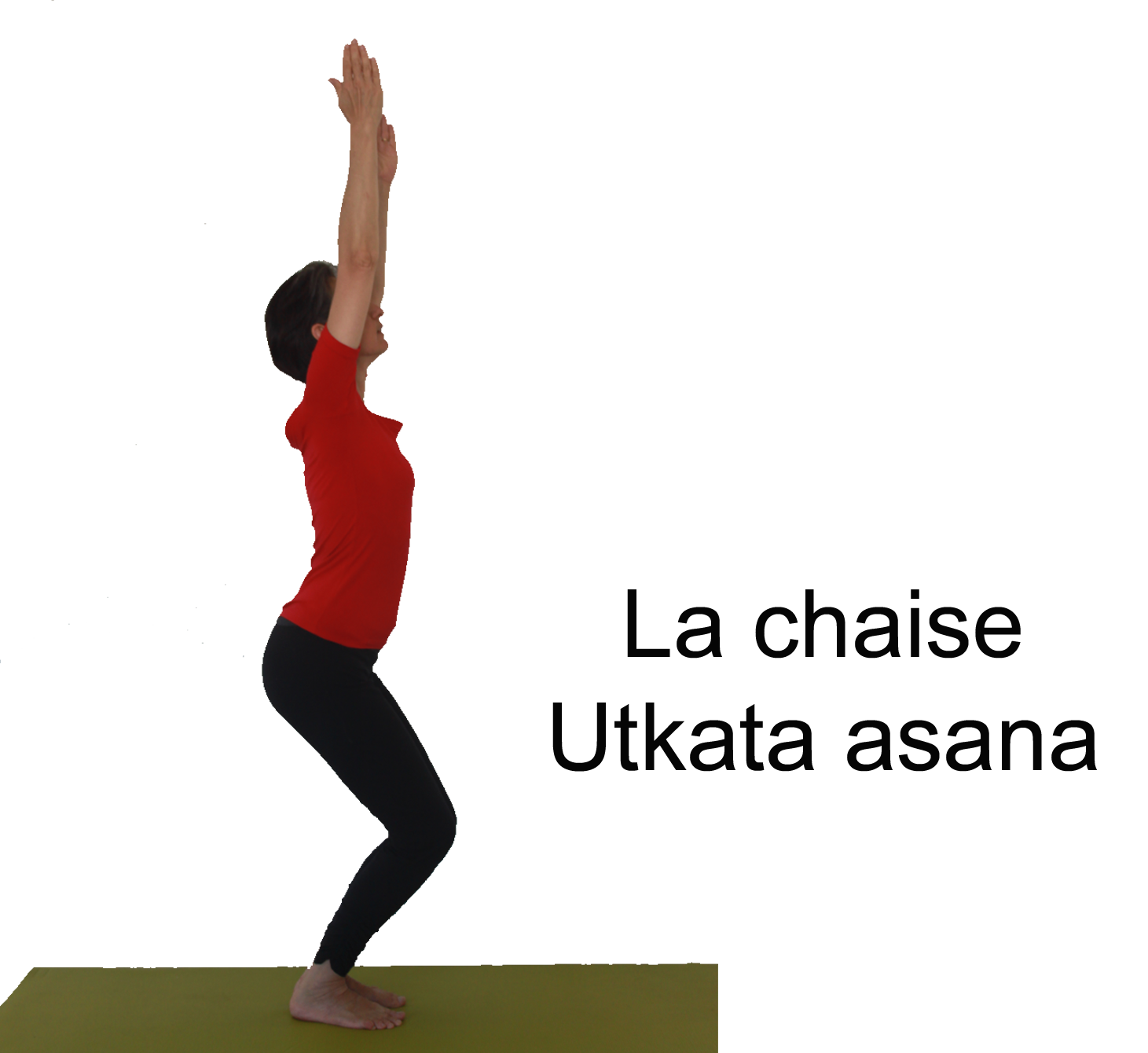 Kapotasana - Posture du pigeon