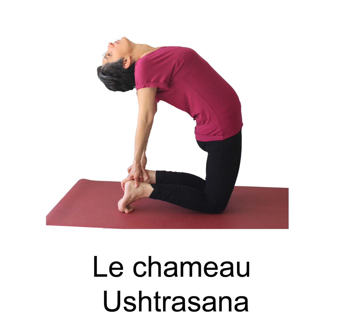 Mahakurma asana