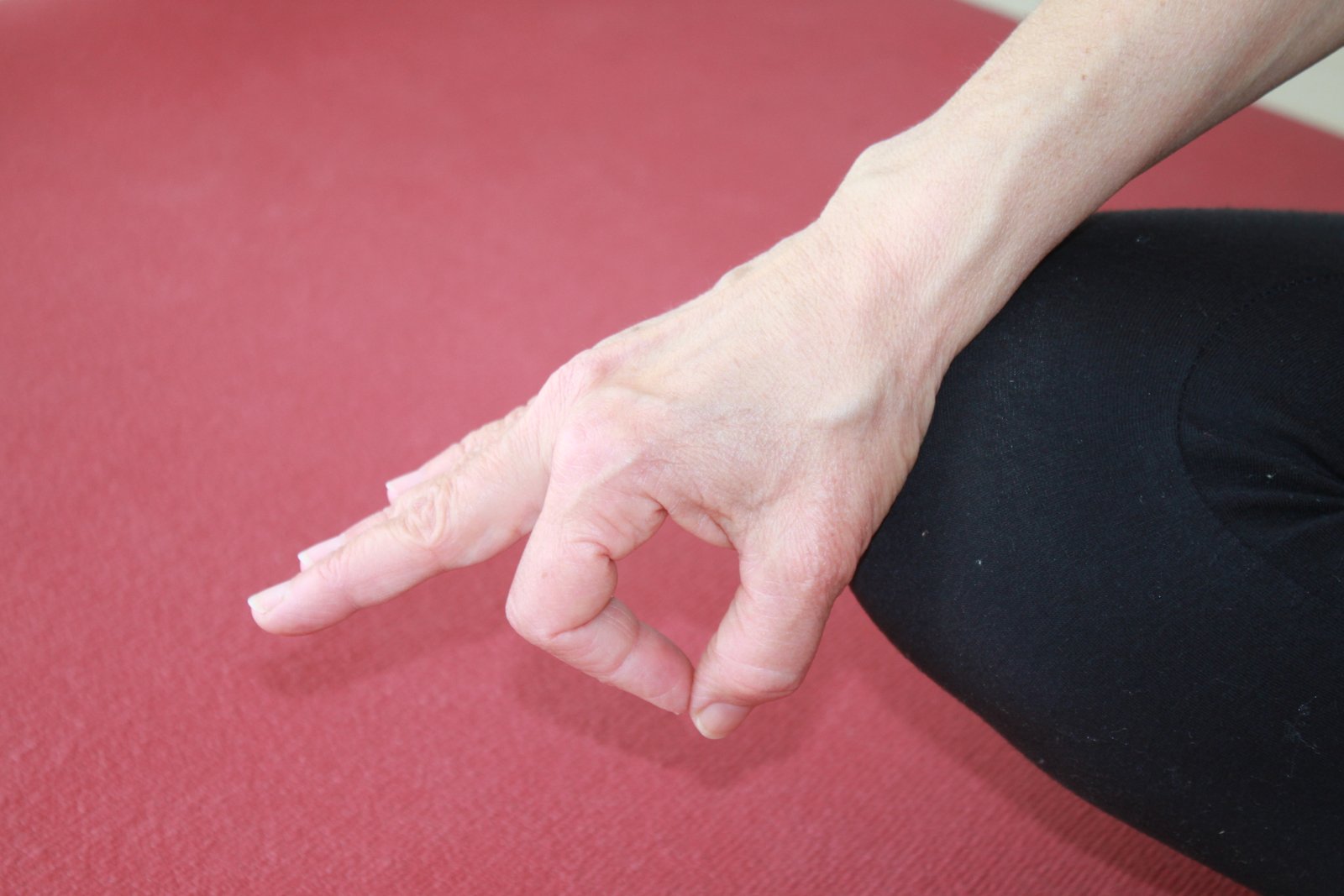 Vyana Mudra