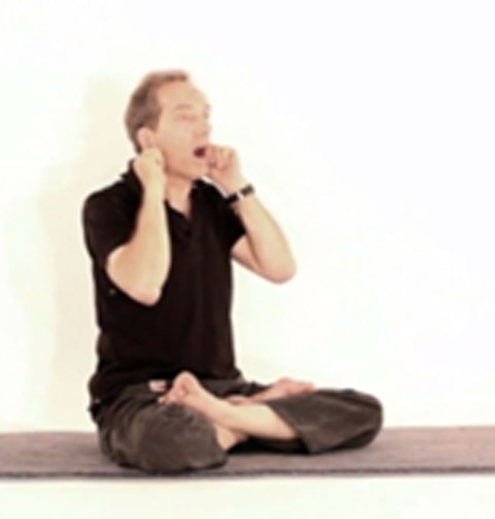 KARNA MUDRA le geste des oreilles